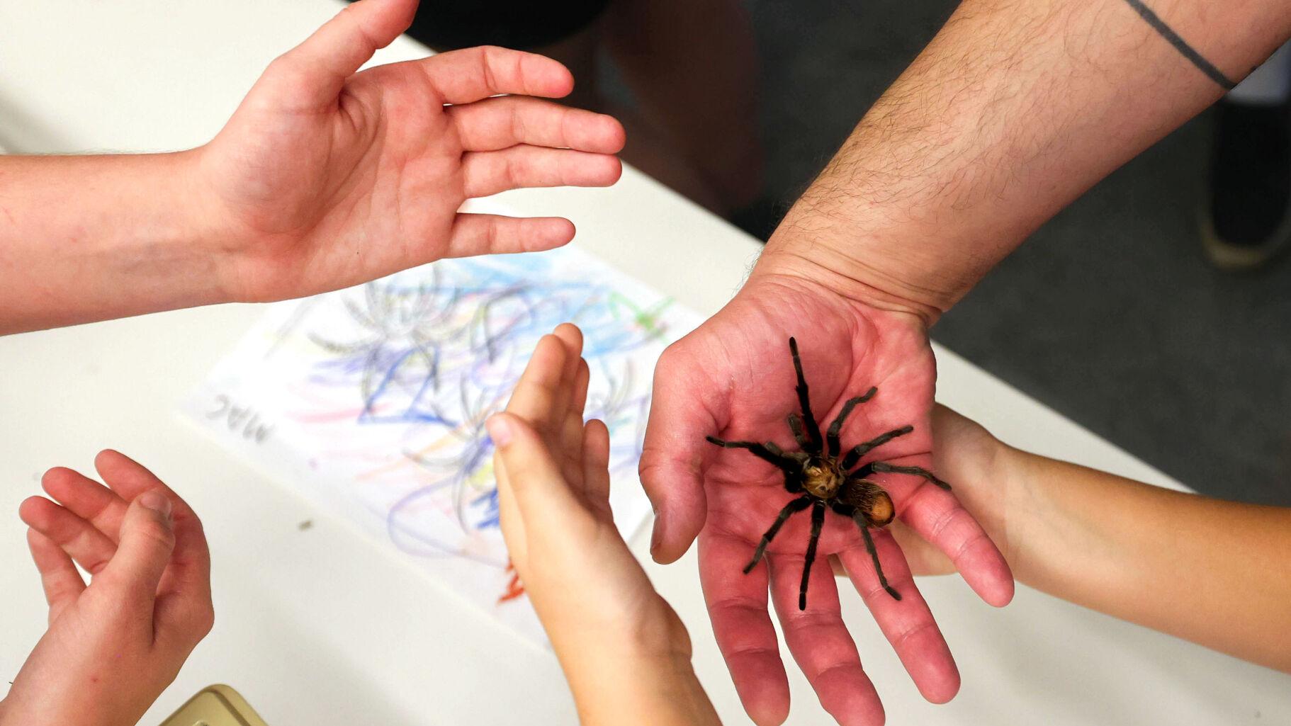 U of A's Entomology Department is great place to work, bugs and all